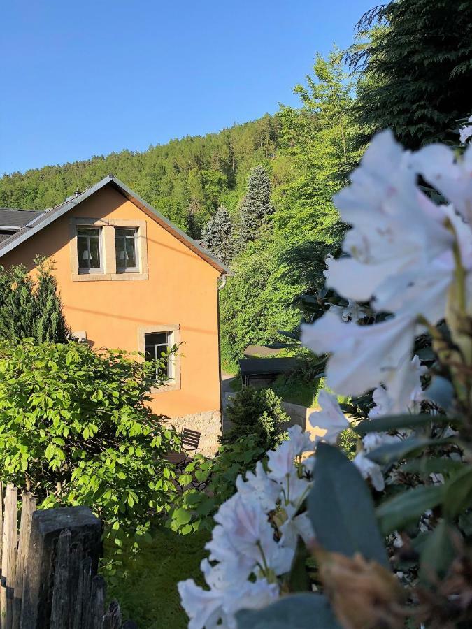 Fuchsbau Apartamento Königstein Exterior foto